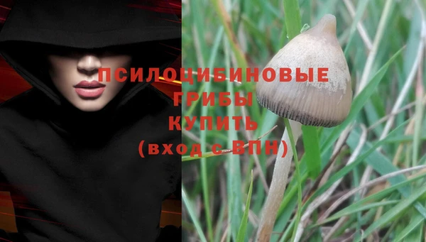 PSILOCYBIN Белоозёрский